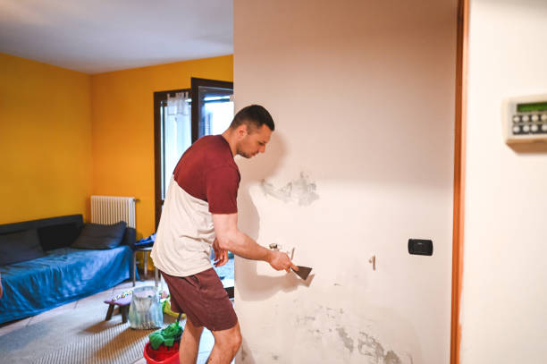 Best Mold Testing  in Spring Valley, IL